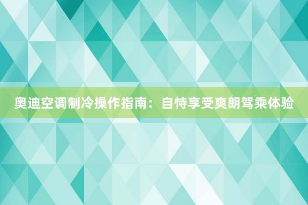 奥迪空调制冷操作指南：自恃享受爽朗驾乘体验