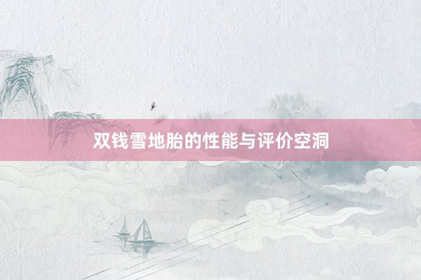 双钱雪地胎的性能与评价空洞